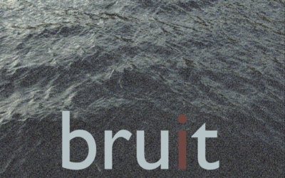 bruit brut 01