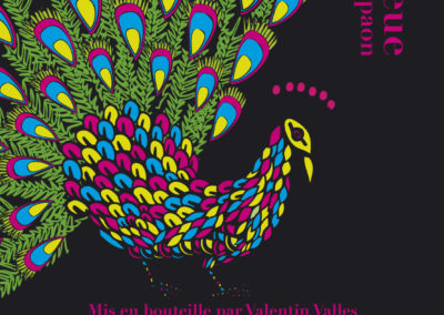 Valentin Valles – Queue de paon