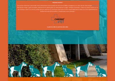 Site internet pour Clinique Vétérinaire, Uzès