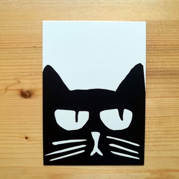 carte postale originale el gato negro uzès