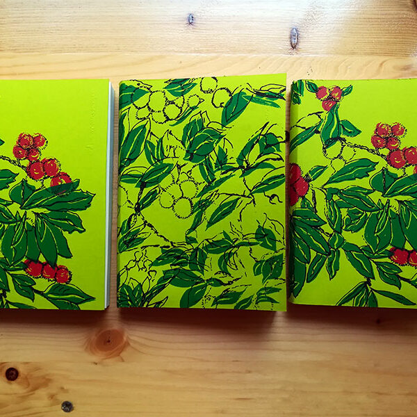 Carnet artisanal Arbousiers